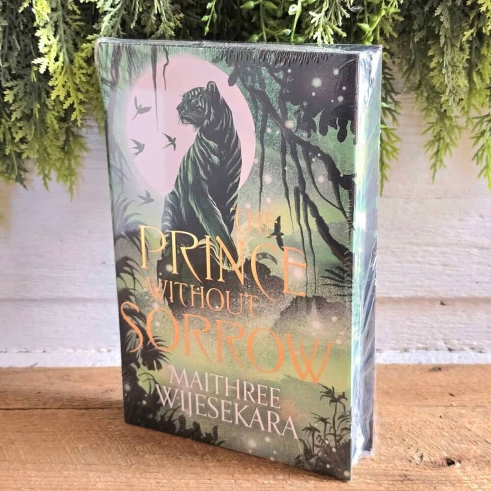 The Prince Without Sorrow Maithree Wijesekara Hardcover Sprayed Edge llumicrate